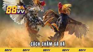 cach-cham-ga-da-dai-dien