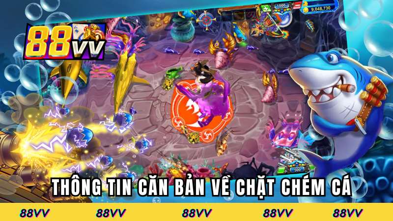Thông tin căn bản về chặt chém cá