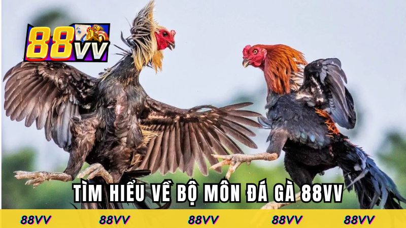 Tìm hiểu về bộ môn đá gà 88VV