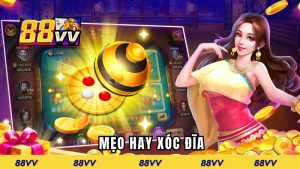 meo-hay-xoc-dia