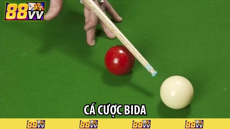 cá cược bida