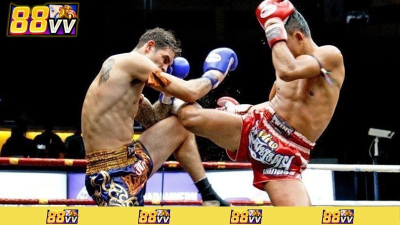 cá cược boxing