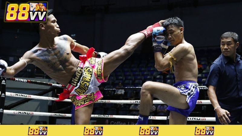 cá cược boxing