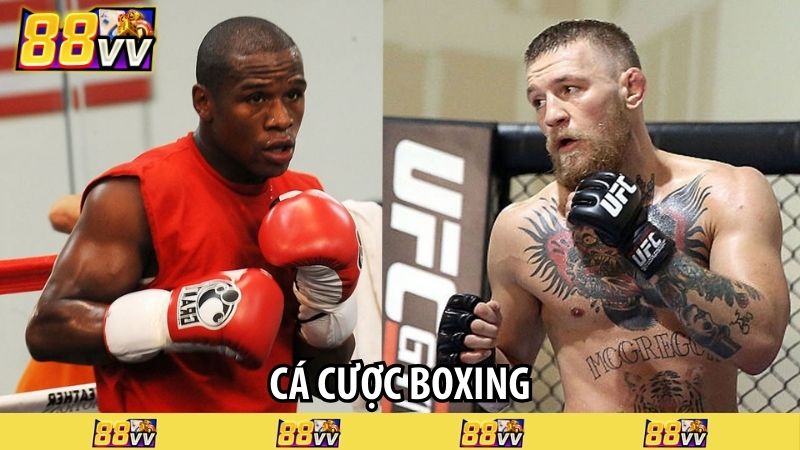 cá cược boxing