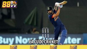 cá cược cricket