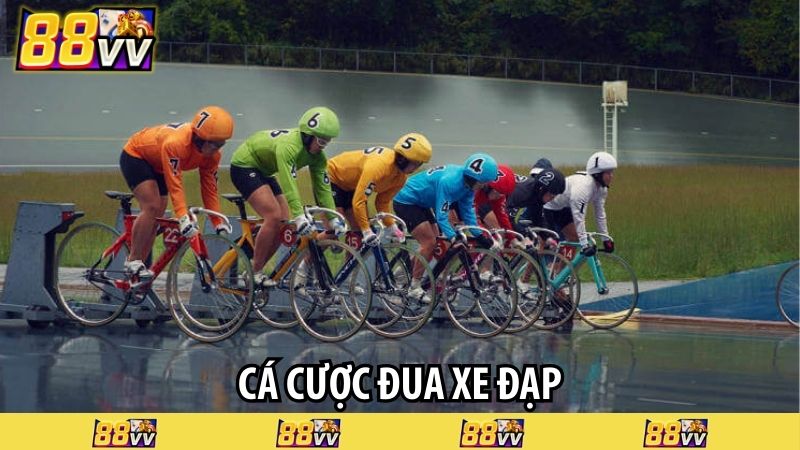 Cá cược đua xe đạp