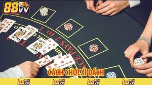 cách chơi xì dách