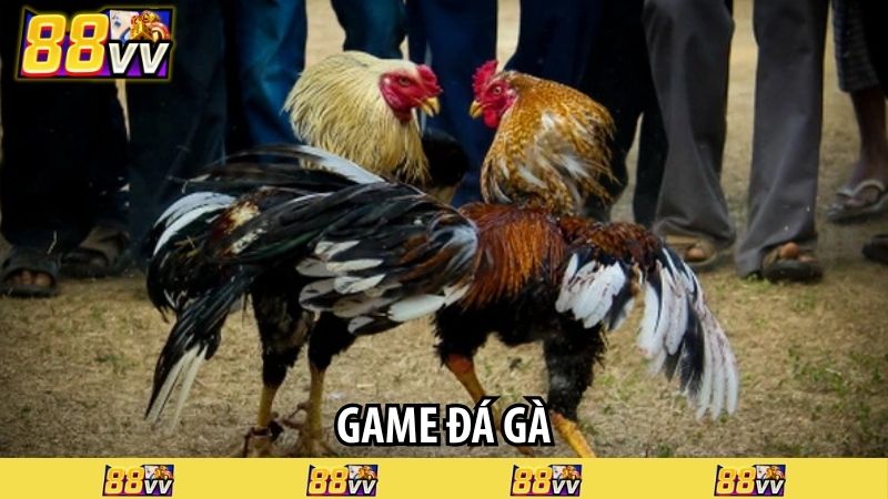 game đá gà