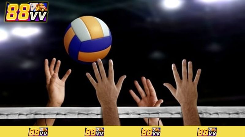 cá cược bóng chuyền