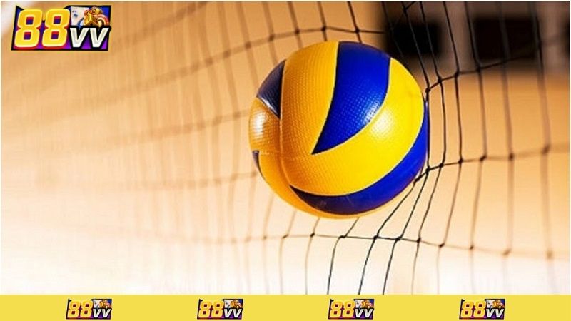 cá cược bóng chuyền