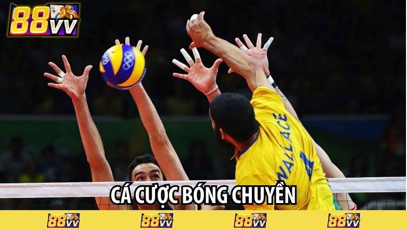 cá cược bóng chuyền