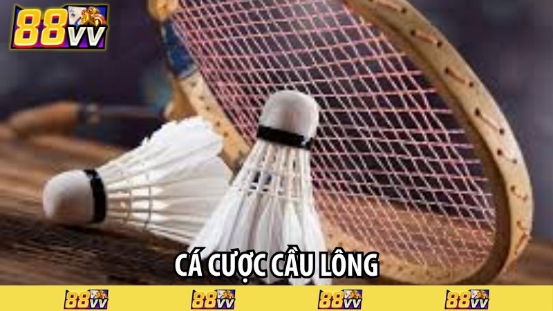 cá cược cầu lông